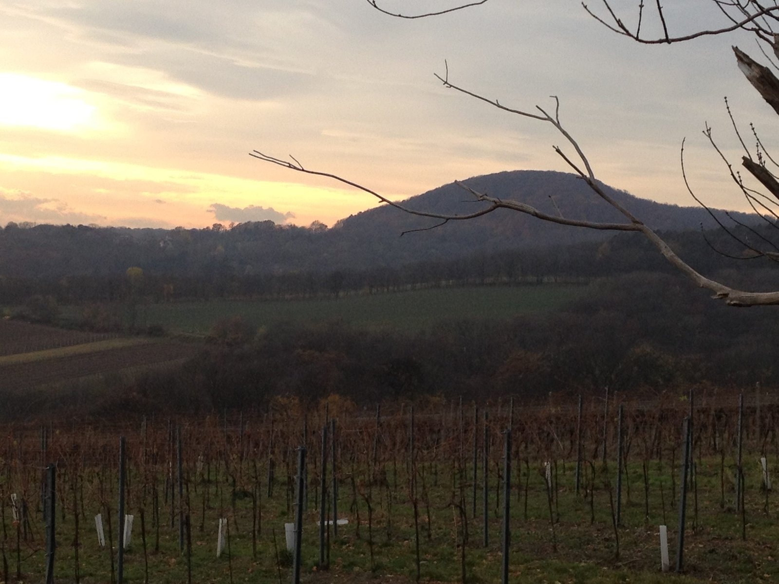 音楽と自然の関係