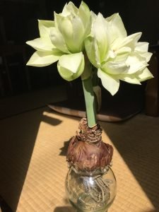 音楽と自然の関係